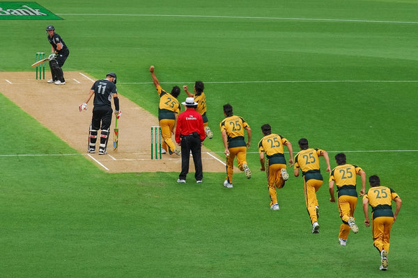 Cricket Analysis