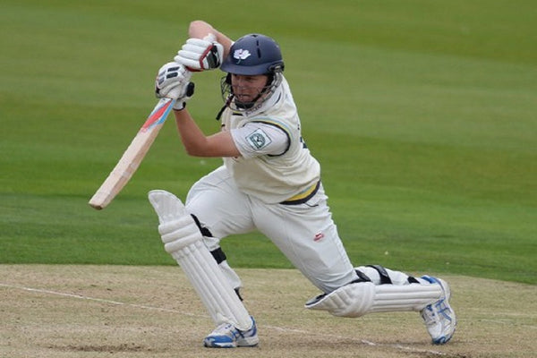 Cricket Analysis
