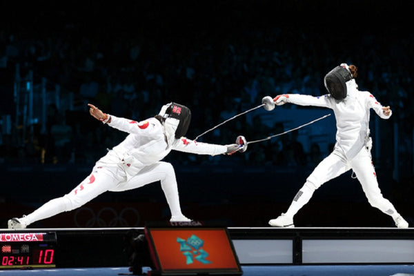 Fencing Analysis